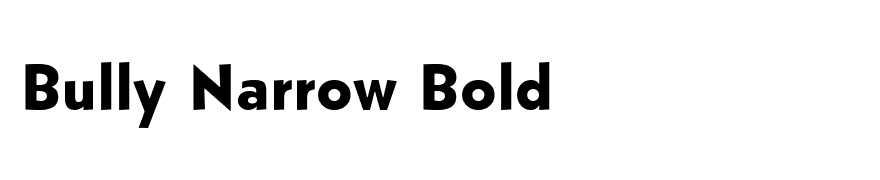 Bully Narrow Bold