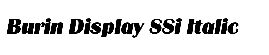Burin Display SSi Italic