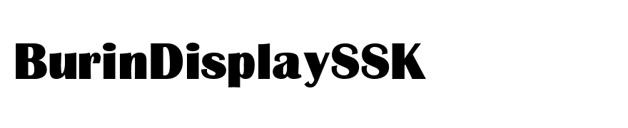 BurinDisplaySSK