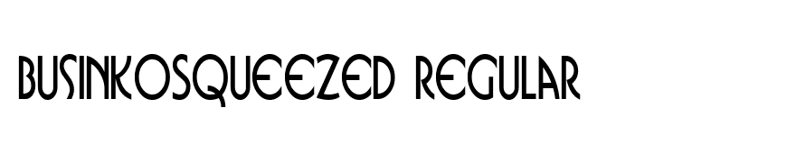 BusinkoSqueezed Regular