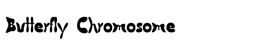 Butterfly Chromosome