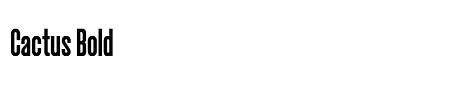 Cactus Bold