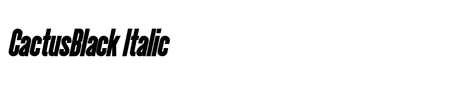 CactusBlack Italic