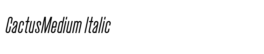 CactusMedium Italic