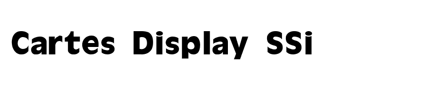 Cartes Display SSi