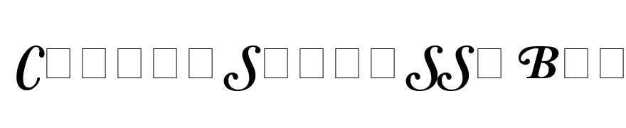 Caslon Swash SSi Bold Italic