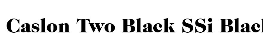 Caslon Two Black SSi Black