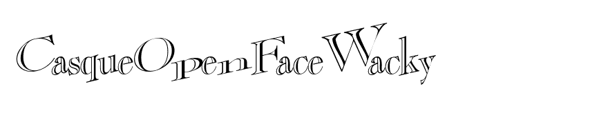 CasqueOpenFaceWacky