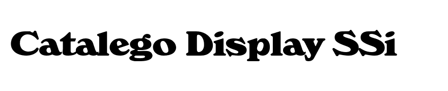 Catalego Display SSi