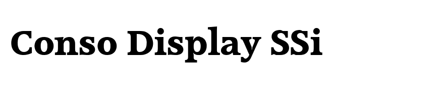 Conso Display SSi