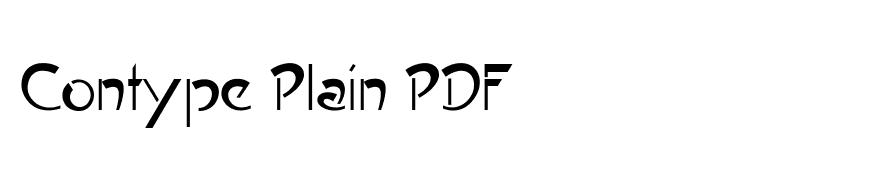 Contype Plain PDF