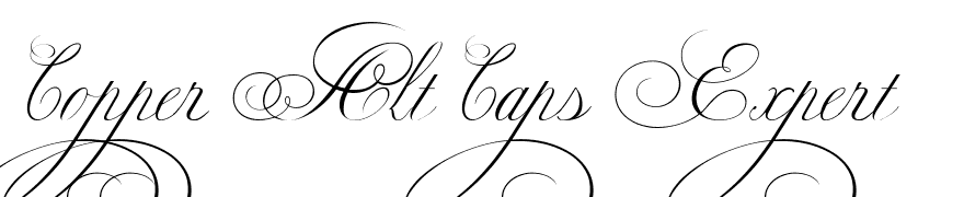 Copper Alt Caps Expert