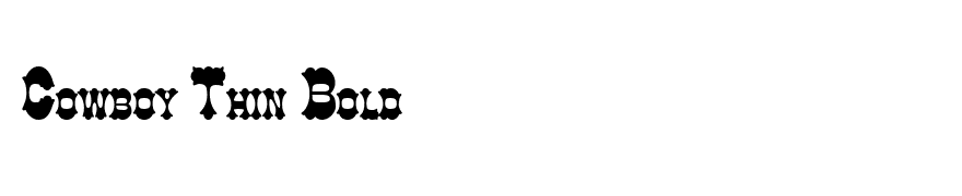 Cowboy Thin Bold
