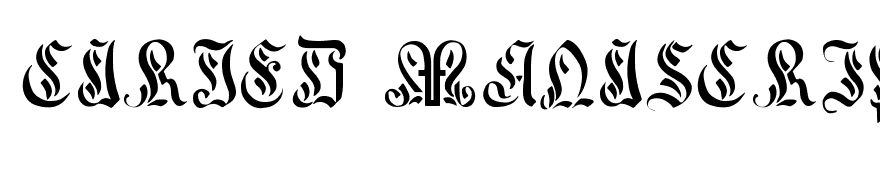 Curved Manuscript, 17th c.