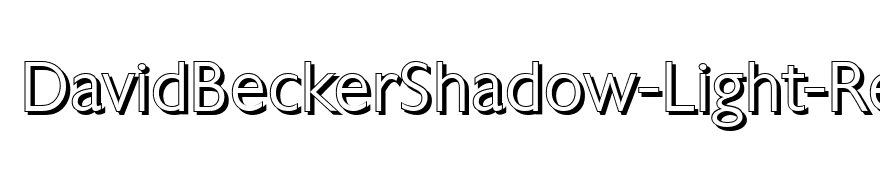 DavidBeckerShadow-Light-Regular