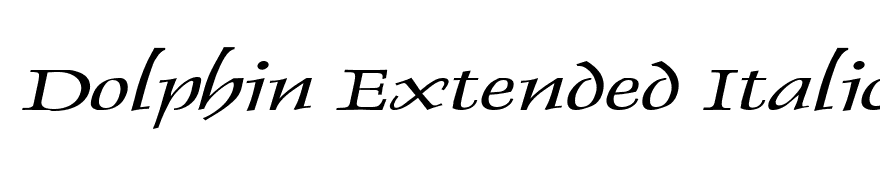 Dolphin Extended Italic