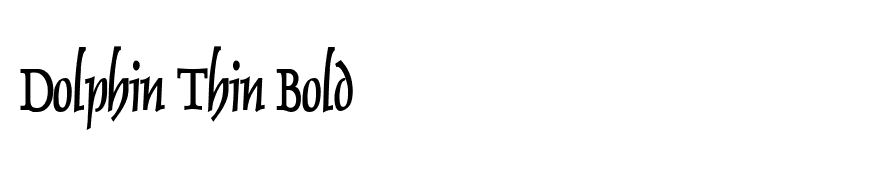 Dolphin Thin Bold
