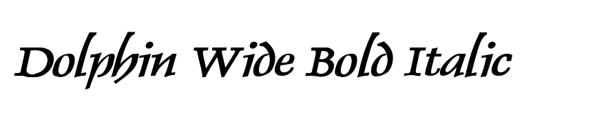 Dolphin Wide Bold Italic