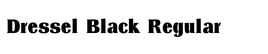 Dressel Black Regular