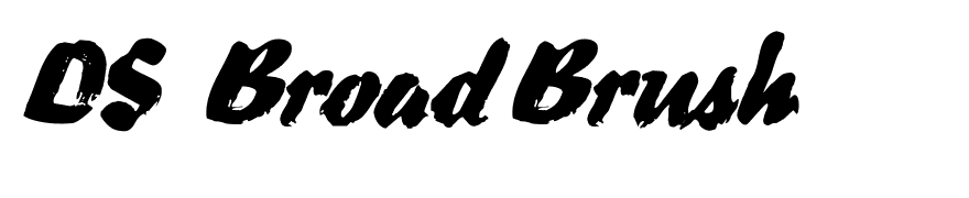 DS BroadBrush