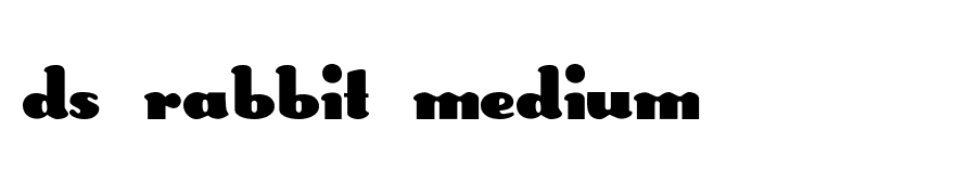 DS Rabbit Medium