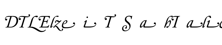 DTLElzevirT-SwashItalic