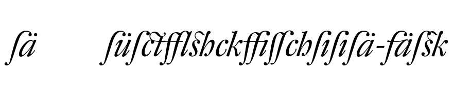 DTLFleischmannD-AltItalic