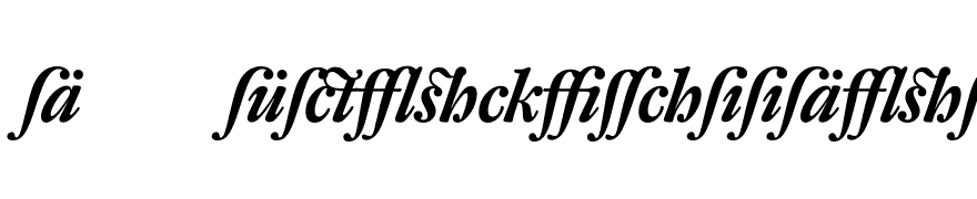DTLFleischmannDisplay-BoldItalicLigatures