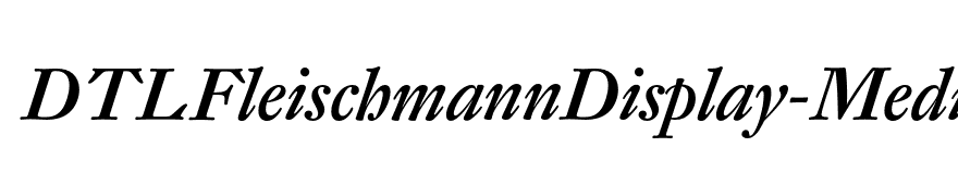 DTLFleischmannDisplay-MediumIta