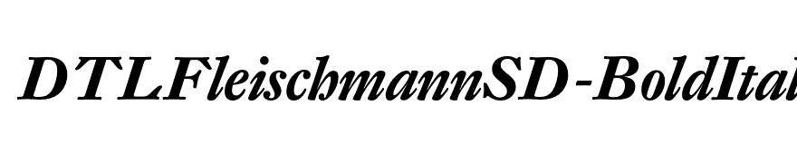 DTLFleischmannSD-BoldItalic