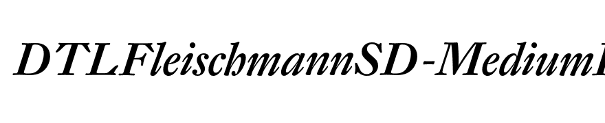 DTLFleischmannSD-MediumItalic