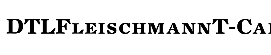 DTLFleischmannT-CapsBold