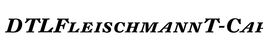 DTLFleischmannT-CapsBoldItalic