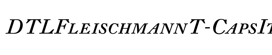 DTLFleischmannT-CapsItalic