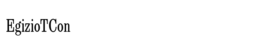EgizioTCon