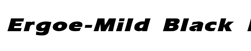 Ergoe-Mild Black Expanded Italic