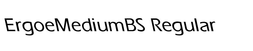 ErgoeMediumBS Regular