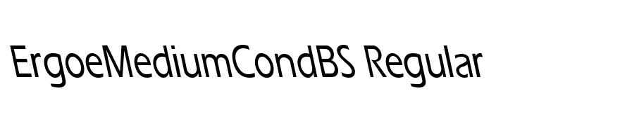 ErgoeMediumCondBS Regular