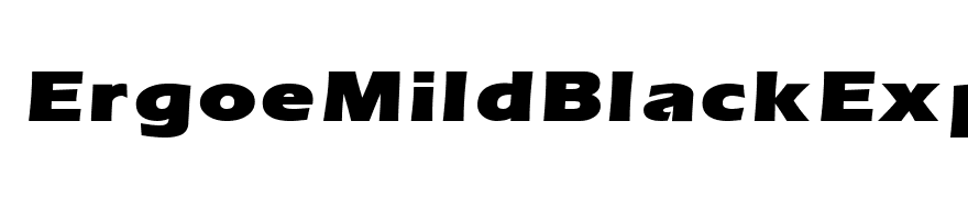 ErgoeMildBlackExpanded Regular