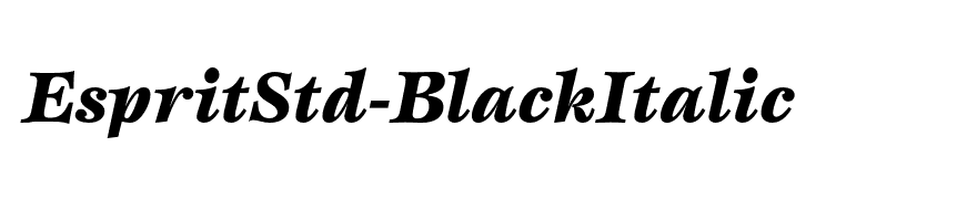 EspritStd-BlackItalic