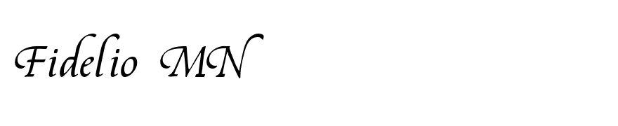 Fidelio MN