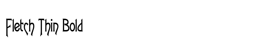 Fletch Thin Bold
