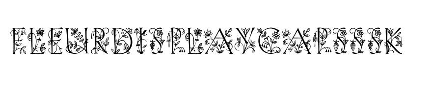 FleurDisplayCapsSSK