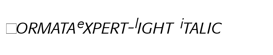 FormataExpert-Light Italic