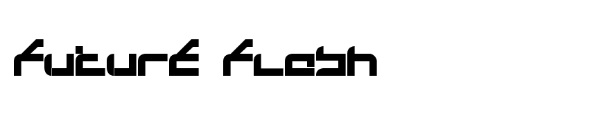Future Flash