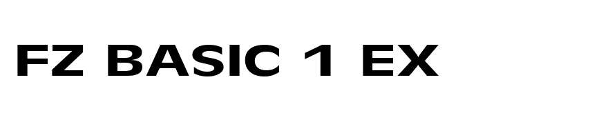 FZ BASIC 1 EX