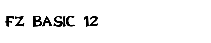 FZ BASIC 12