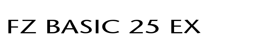 FZ BASIC 25 EX
