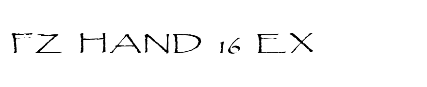 FZ HAND 16 EX