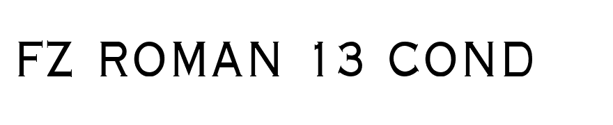 FZ ROMAN 13 COND